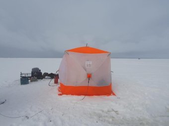 Фото: СУ СК.