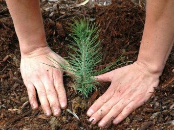 Фото Группы компаний УЛК.