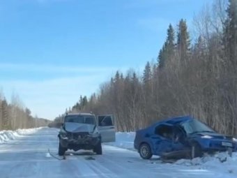 Фото: «Жесть Поморья»/«ВК» (Михаил Сидоров).