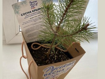 Фото: пресс-служба правительства АО.