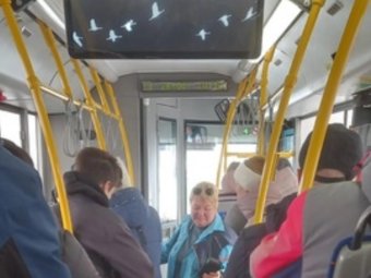 Фото и видео: подписчики паблика ТК «Рико».