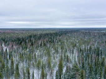 Фото Группы компаний УЛК.