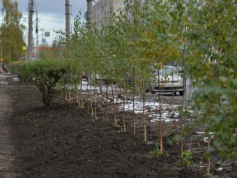 Фото пресс-службы прокуратуры Архангельской области.