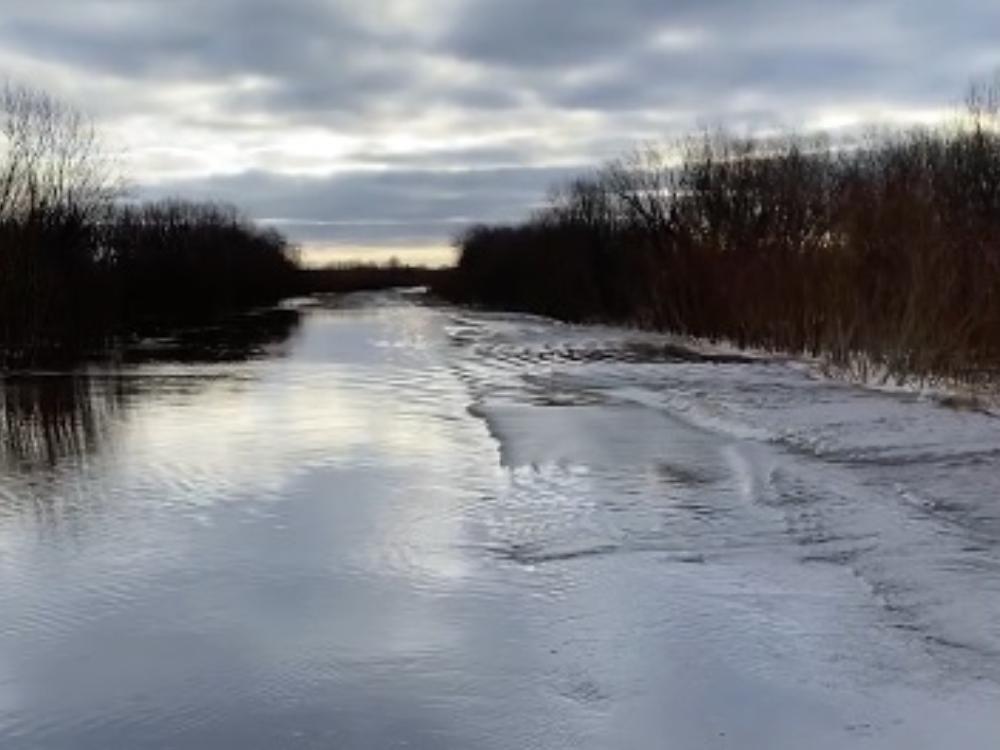 Таруса паводок 2024