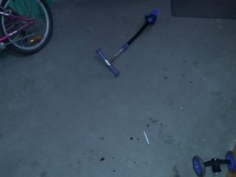 Фото пресс-службы СУ СК РФ по Архангельской области и НАО.