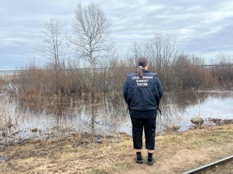 Фото СУ СК РФ по Архангельской области и НАО. 