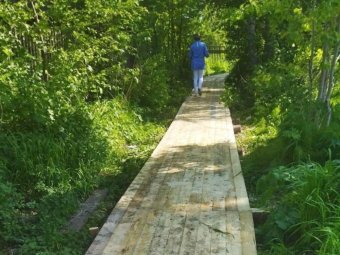 Фото пресс-службы администрации Архангельска. 