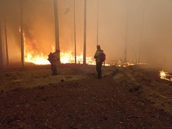 Фото из телеграм-канала Александра Цыбульского.