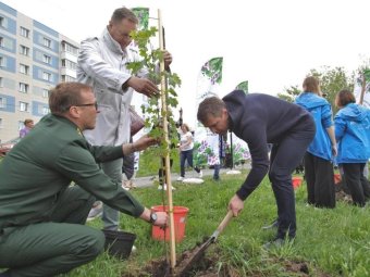 Фото из т/г-канала Арсентьева
