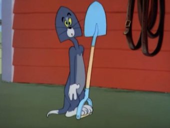 Стоп-кадр из мультфильма «Том и Джерри»