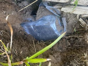 Фото пресс-службы УМВД по Архангельской области