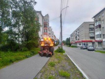 Фото пресс-службы администрации Архангельска