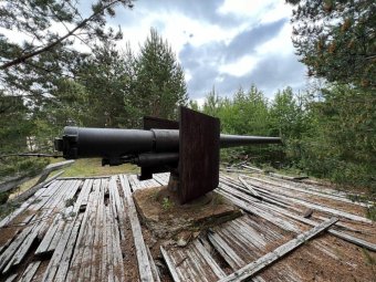 Все фото: пресс-служба губернатора.