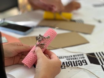 Все фото: «Архангельский экологический оператор».