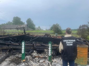 Фото: СУ СК