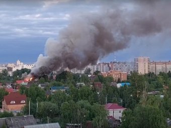 Фото: «Жесть Поморья»/Анна Пуртова.