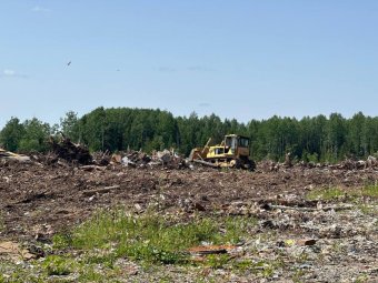 Все фото: АО «Архангельский экологический оператор».