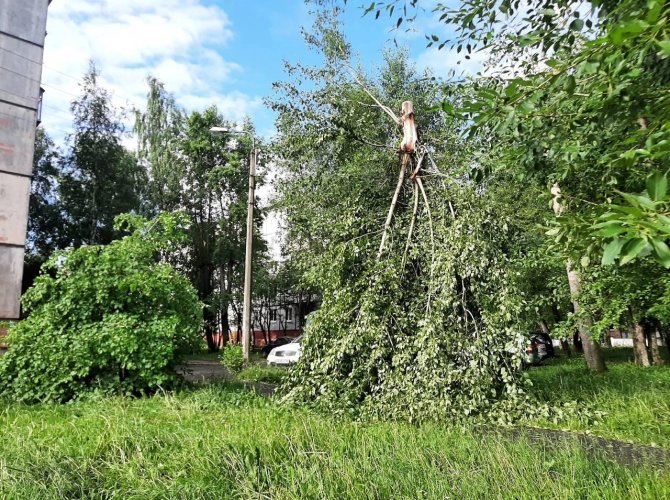 Фото телеграм-канал Игоря Арсентьева