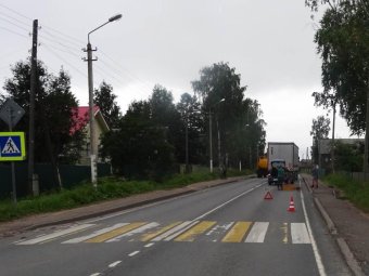 Фото: УМВД по Архангельской области.