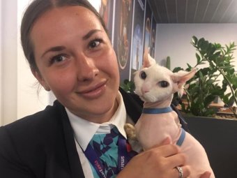 Фото: «Smartavia».