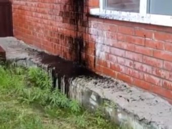 Стоп-кадр из видео ОНФ.