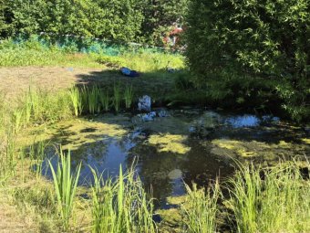 Фото: СУ СК РФ по Архангельской области и НАО.