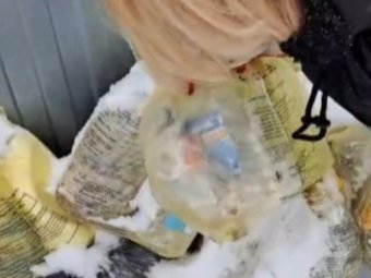 Стоп-кадр из видео ОНФ Архангельской области.