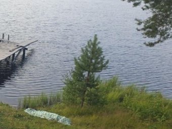 Фото: СУ СК.