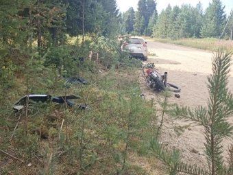 Фото: Госавтоинспекция Архангельской области. 