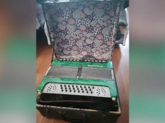 Фото: УМВД по Архангельской области. 