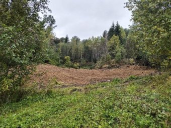 Фото Группы компаний УЛК.