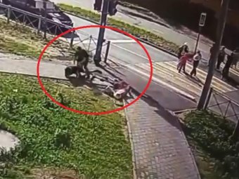 Стоп-кадр из видео администрации Северодвинска.