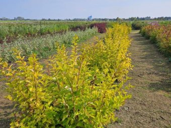 Все фото: Дмитрий Морев/«ВК».