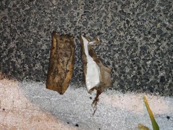 Фото: РУ ФСБ.