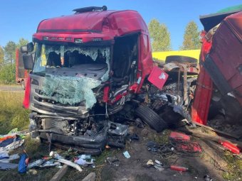 Все фото: Госавтоинспекция Архангельской области.