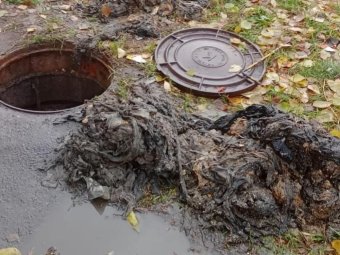 Все фото: «РВК-Архангельск».