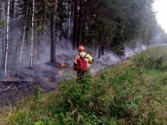 Фото пресс-службы областного правительства.