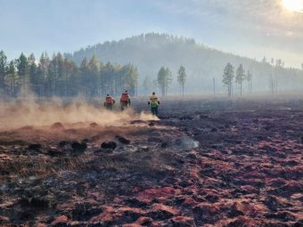 Фото со страницы губернатора Архангельской области Александра Цыбульского/«ВК».
