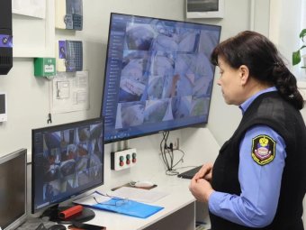 Фото пресс-службы администрации Архангельска.