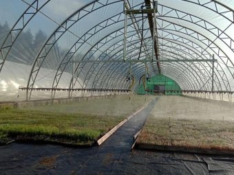 Фото пресс-службы губернатора. 