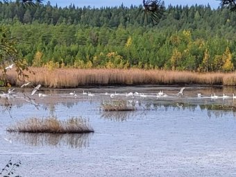 Фото читателей. 