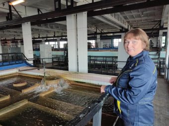 Фото: «РВК-Архангельск».