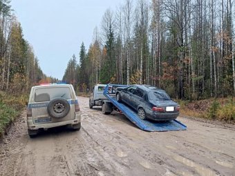 Фото и видео: ОГИБДД ОМВД России по Плесецкому району.