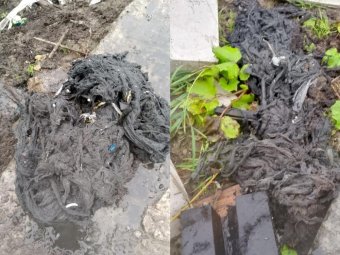 Фото: «РВК-Архангельск».