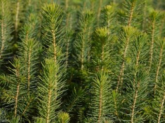 Фото Группы компаний УЛК.