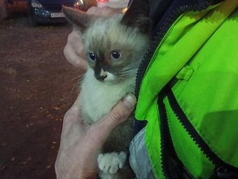 Фото областной службы спасения. 