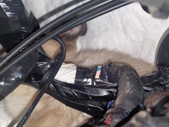 Фото областной службы спасения. 