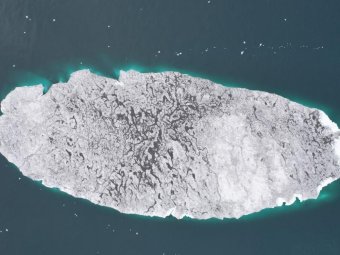 Остров Месяцева, снимок 2021 года с дрона. Фото: Александр Барымов/Центр морских исследований МГУ имени Ломоносова.