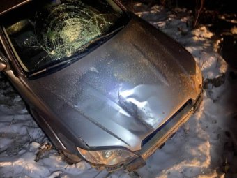 Фото: ГАИ Архангельской области. 