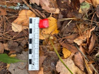 Фото пресс-службы УМВД. 